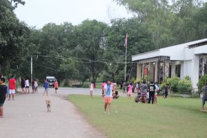 IMG_5037.JPG