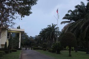 IMG_5051.JPG