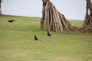 IMG_5307.JPG