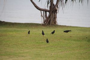 IMG_5308.JPG