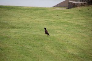 IMG_5309.JPG