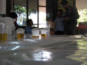 IMG_1210.JPG