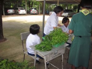 IMG_0651.JPG