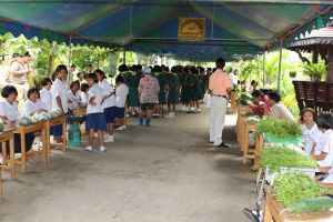 IMG_3941.JPG