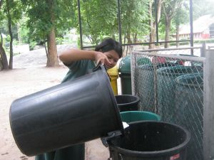 IMG_2463.JPG