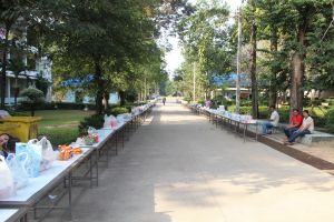 IMG_5941.JPG