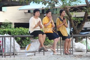 IMG_5994.JPG