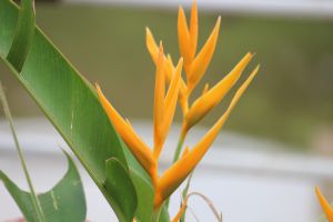 IMG_3489.JPG