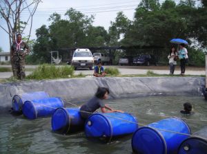 DSCN0105.JPG