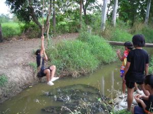 DSCN0119.JPG