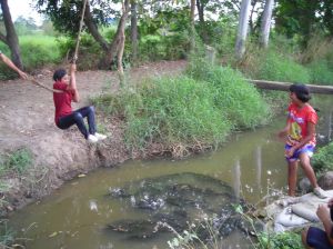 DSCN0120.JPG