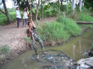 DSCN0132.JPG