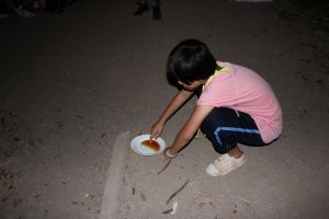IMG_3571.jpg