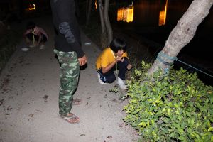 IMG_3572.jpg