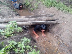 IMG_20121126_150651.jpg