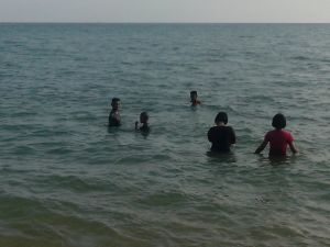 IMG_20121209_153418.jpg