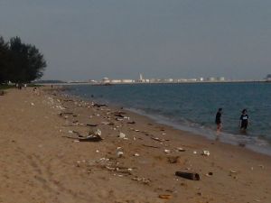 IMG_20121209_153603.jpg