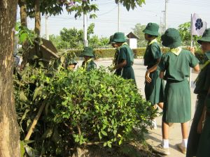 IMG_1481.JPG