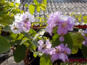 IMG_20130222_100202.jpg