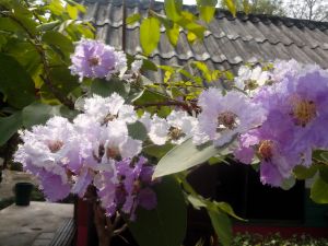 IMG_20130222_100205.jpg