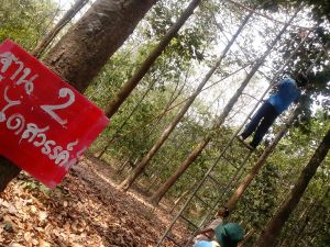 IMG_20130222_110623.jpg