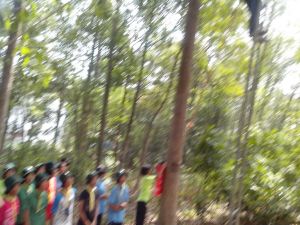 IMG_20130222_110644.jpg