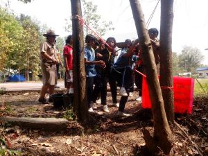 IMG_20130222_110744.jpg