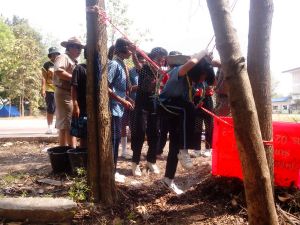 IMG_20130222_110747.jpg