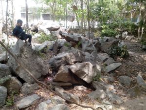 IMG_20130222_111556.jpg