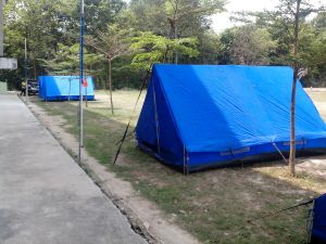 IMG_20130222_124930.jpg
