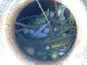 IMG_20130222_151926.jpg