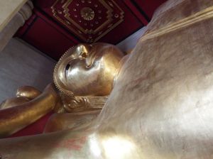 DSCF2909.JPG
