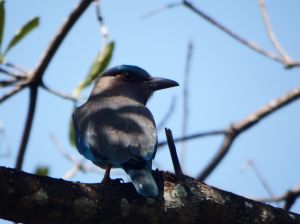 DSCF3014.JPG