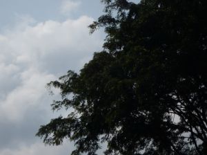 DSCF3215.JPG