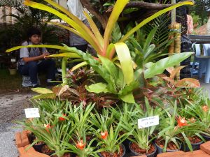 DSCF1273.JPG