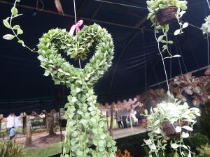 DSCF1275.JPG