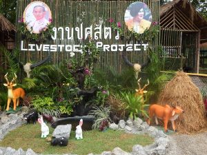 DSCF1290.JPG