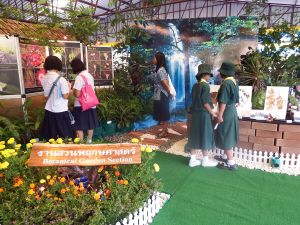 DSCF1377.JPG