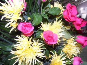 DSCF2399.JPG