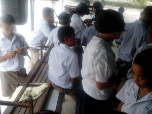 IMG_20130301_132905.jpg