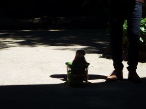 i00483.jpg