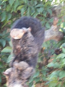 i00491.jpg