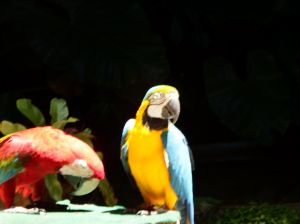 i00496.jpg