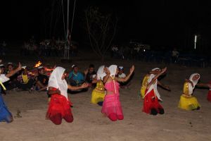 IMG_2949.JPG