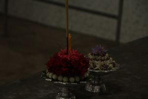 IMG_0270.JPG