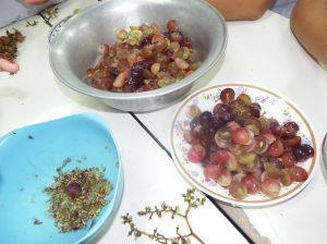 DSCF1612.JPG