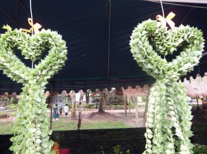 DSCF1276.JPG