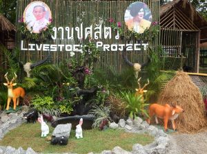 DSCF1290.JPG
