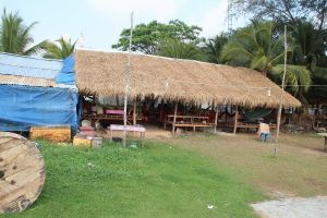 IMG_7828.JPG