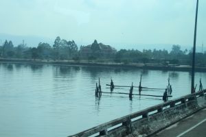 IMG_7918.JPG